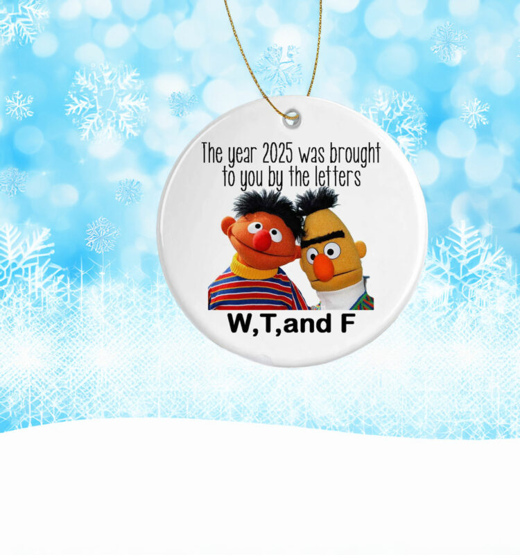 Funny WTF 2025 Christmas Ornament – Hilarious Holiday Keepsake Gift