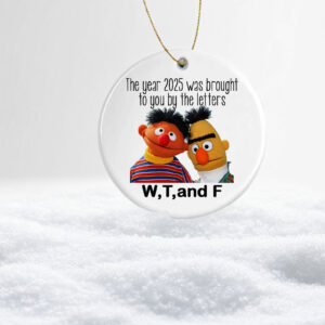 Funny WTF 2025 Christmas Ornament – Hilarious Holiday Keepsake Gift