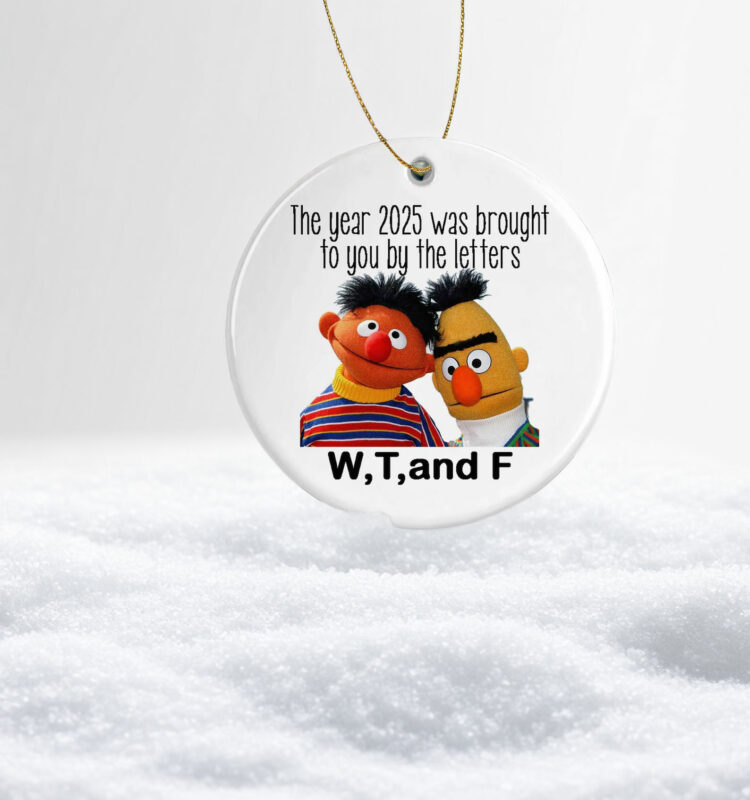 Funny WTF 2025 Christmas Ornament – Hilarious Holiday Keepsake Gift