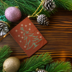 All I Want for Christmas is Democracy Flag