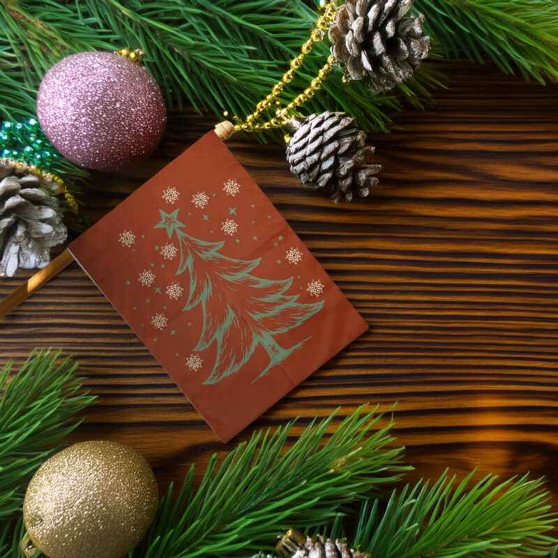 All I Want for Christmas is Democracy Flag