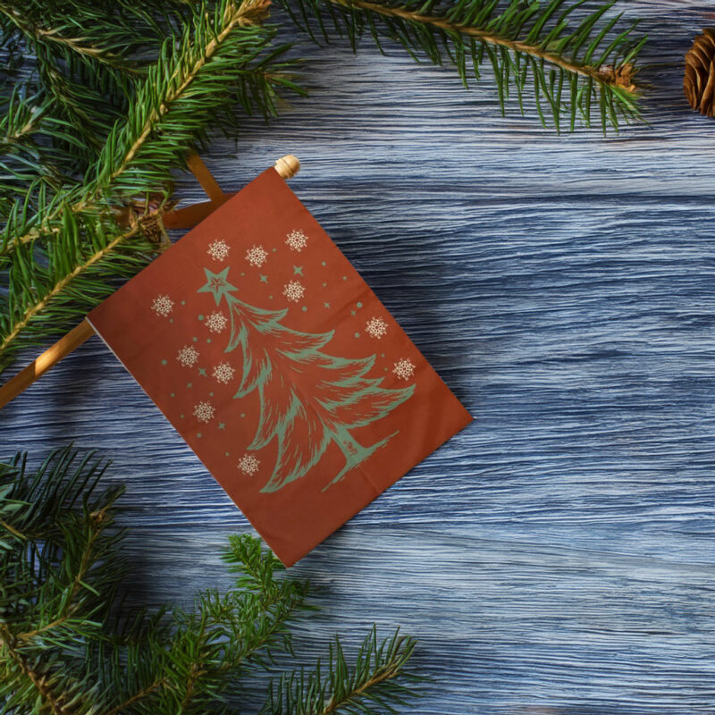 All I Want for Christmas is Democracy Flag